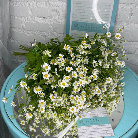 Ромашка 25 штук - Фото 2