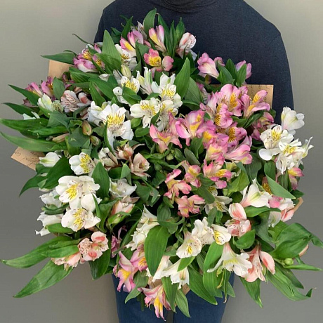 Альстрамерии микс - Фото 4