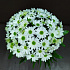 Букет цветов Лея №160 - Фото 5