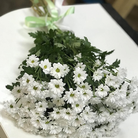 Букет цветов Ромашка №165 - Фото 2