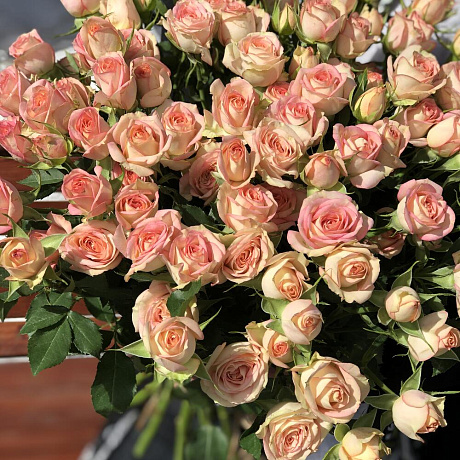 Букет из 15 кустовых розовых роз №161 - Фото 2