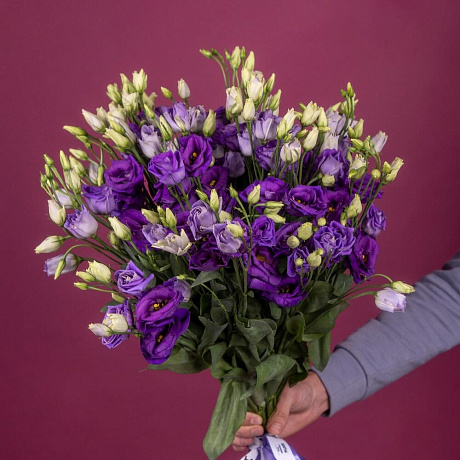 Букет из 19 фиолетовых эустом - Фото 2