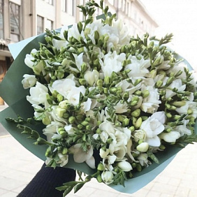 Букет из 51 белой фрезии