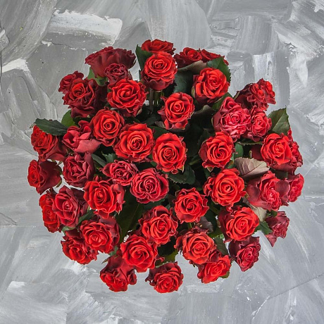 Коробка с Эльторо - Фото 2