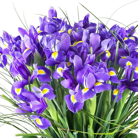 Букет цветов Zaraflower 35 - Фото 3