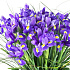 Букет цветов Zaraflower 35 - Фото 3