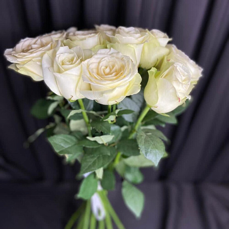 Роза Афина - Фото 3