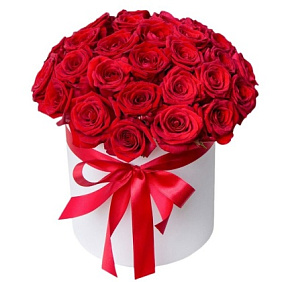 25 красных роз в шляпной коробке с именем №559