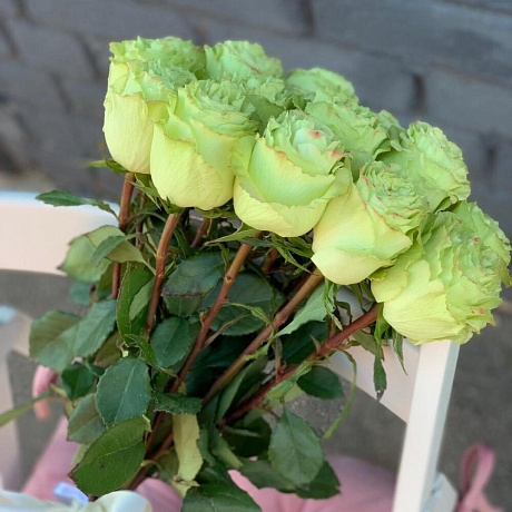 Монобукет 19 зеленых роз 60см - Фото 3