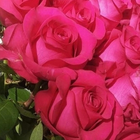 Букет цветов Малиновые облака - Фото 2