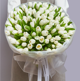 Тюльпан белый 101 №38