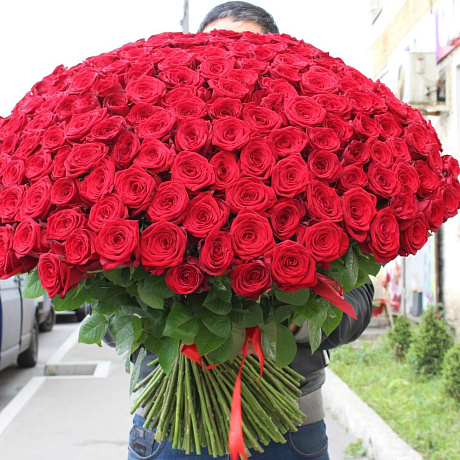 Любовь с первого взгляда - Фото 5