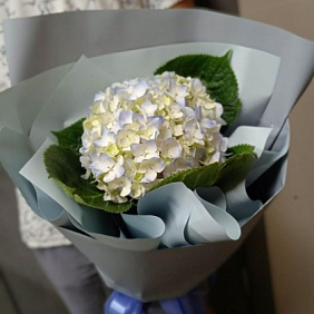 Букет цветов "Очаровательная гортензия"