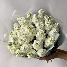 Букет цветов "Ароматная маттиола" №160