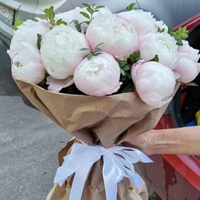 Букет из 15 розовых пионов №162