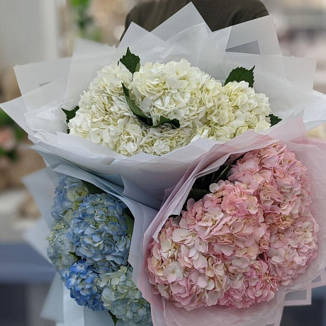 5 белых гортензий - Фото 3