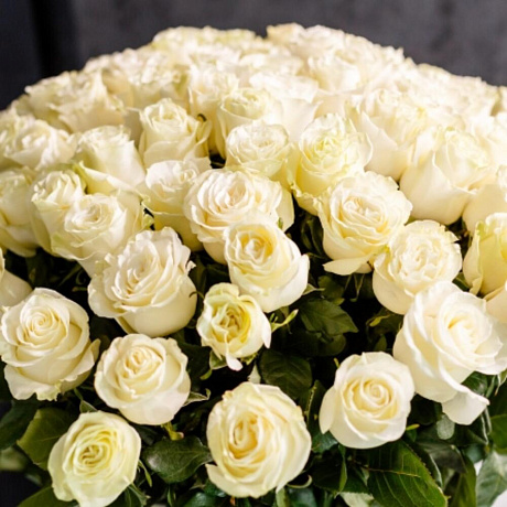 Белые розы премиум класса 101 роза - Фото 3
