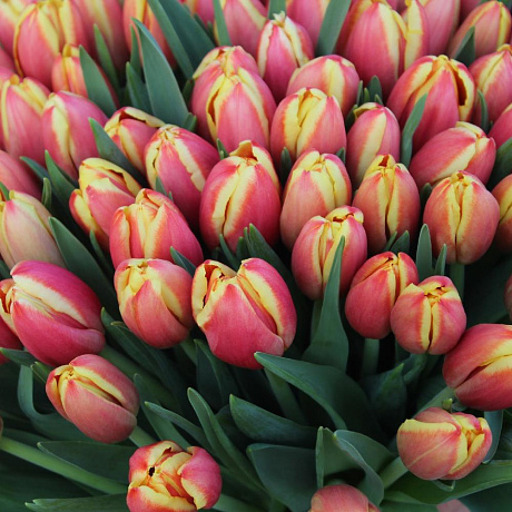 Букет цветов Тюльпаночка - Фото 4