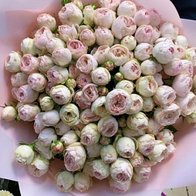 Букет пионовидных кустовых роз Майнсфилд Парк