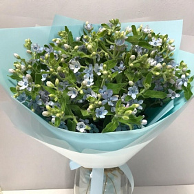 Букет цветов "Опсепеталум" №160