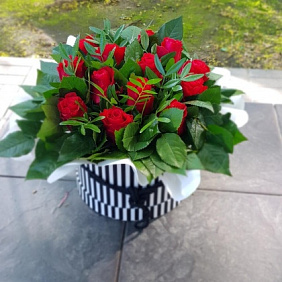 Красные розы в Коробке №160