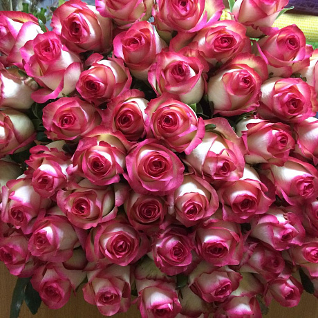 Букет «Джамила 51» - Фото 3