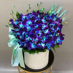 Букет цветов "Моя вселенная" №164