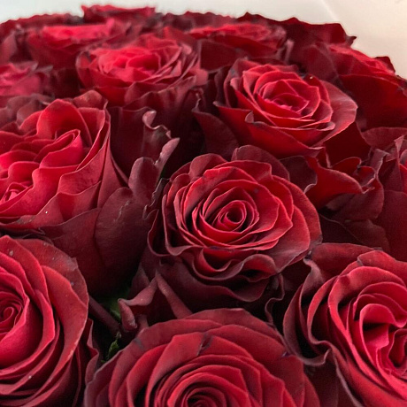 Букет из 19 Эквадорских роз - Фото 5