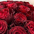 Букет из 19 Эквадорских роз - Фото 5