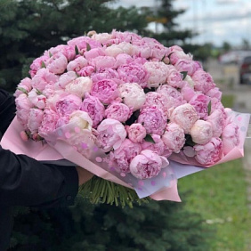 Букет из 101 пиона №165