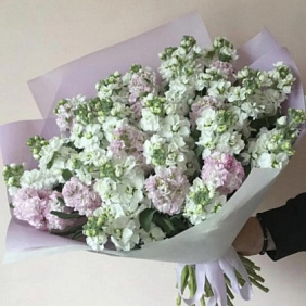 Букет из мотиоллой