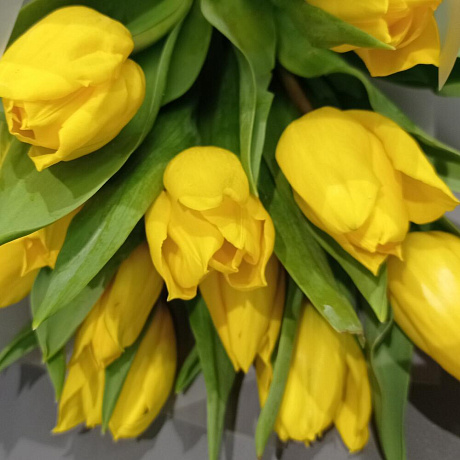 Букет из 11 тюльпанов Spring - Фото 3