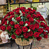 Корзина из красных роз Розаприма (101 роза) - Фото 1