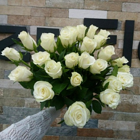 Розы №170