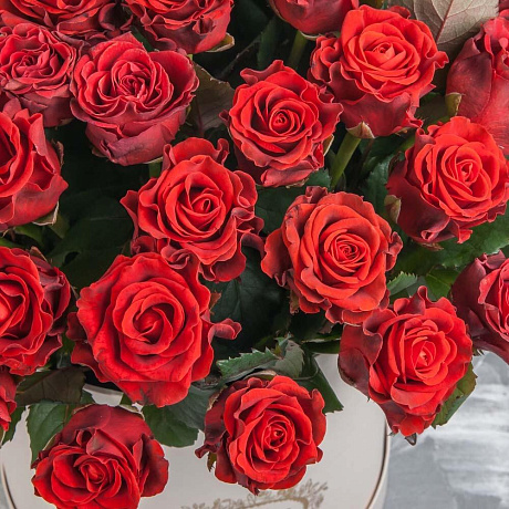 Коробка с Эльторо - Фото 3