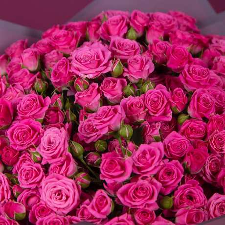 Букет из 19 малиновых кустовых роз - Фото 4