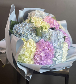 Премиум Гортензия микс