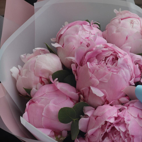 7 розовых пионов с эвкалиптом - Фото 6