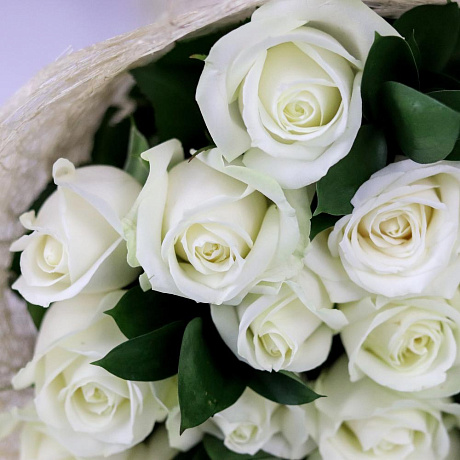 Розы. Букет из 19 белых роз с рускусом. N657 - Фото 6