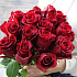 Эквадорская роза 15 шт №163 - Фото 6
