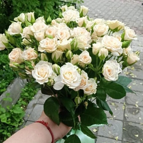 Букет цветов "Крем Грация"