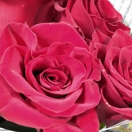 Букет  Моно из 9 роз - Фото 5