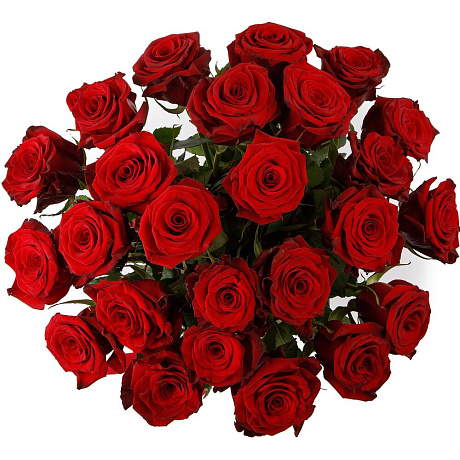 Букет из 25 красных роз Фридом - Фото 2