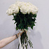 Самые белые розы - Фото 1