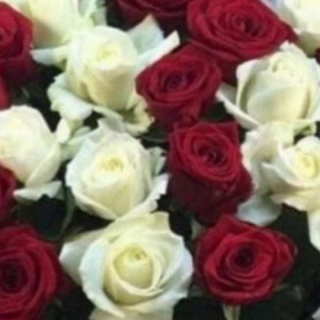 Корзина из 101 красно-белой розы - Фото 4