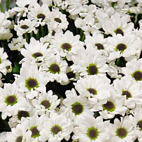 Букет цветов Белоснежный №160 - Фото 4