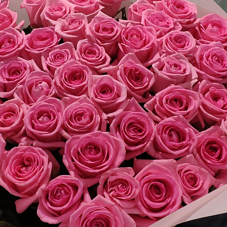 Розовые розы №160 - Фото 5