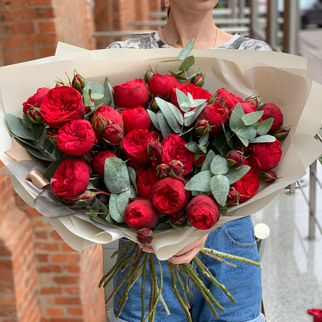 Шикарная пионовидная Роза - Фото 3