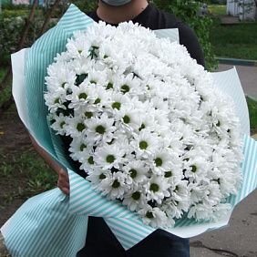 Букет из белых куставых хризантем №2