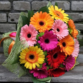 Букет из 25 гербер микс №2